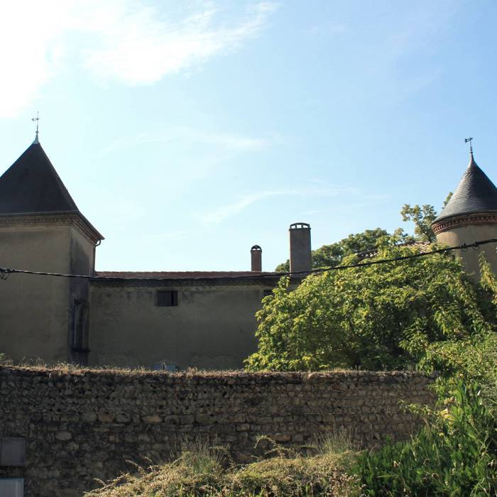 Photo de Château du Haut-Livron