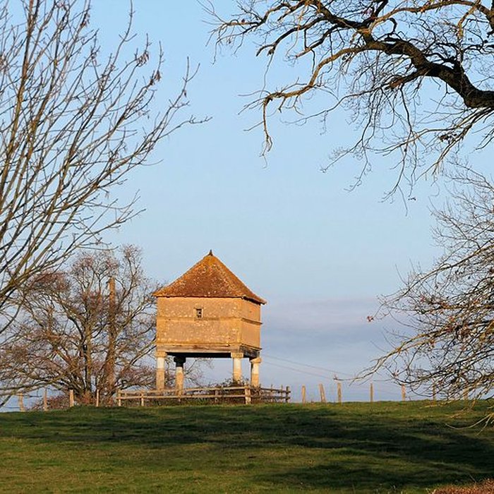 Photo de Château du Magny