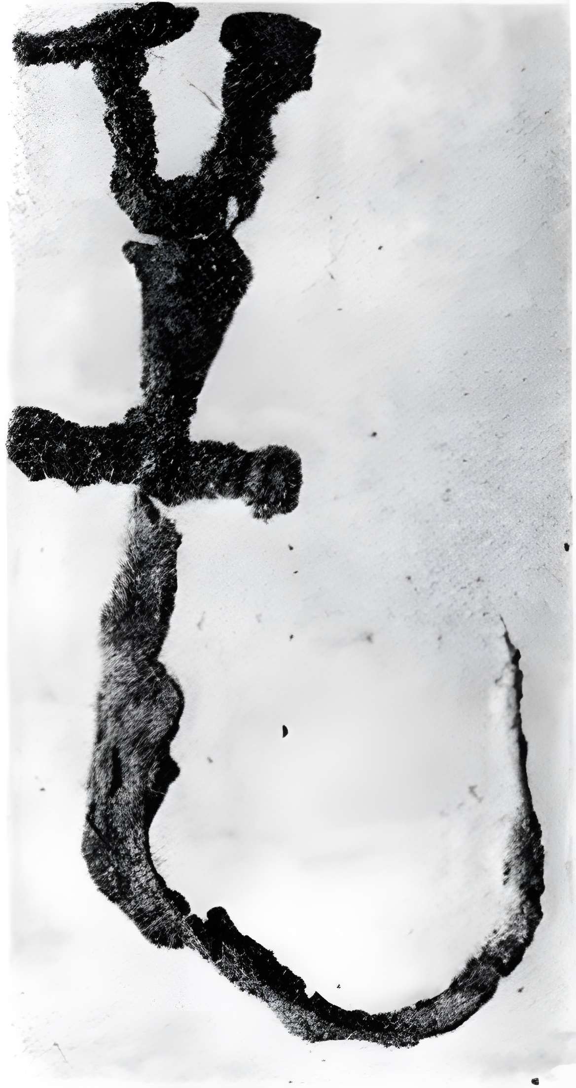 Remparts de Mont-de-Marsan