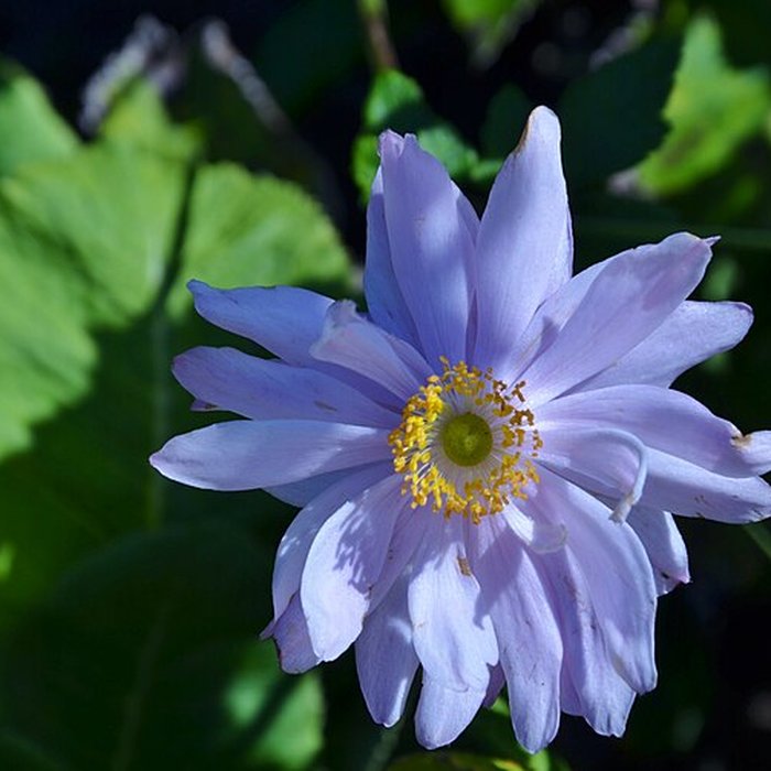 Photo de Château du Mesnil-Geoffroy