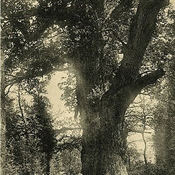 Château du Parc à Saint-Jacut-du-Mené