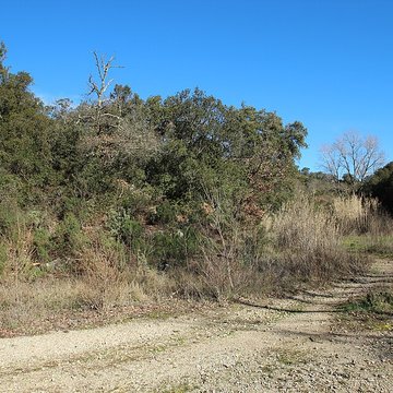 Aqueduc antique restes de l