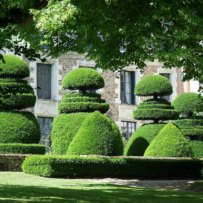 Photo de Château du Pin à Champtocé-sur-Loire