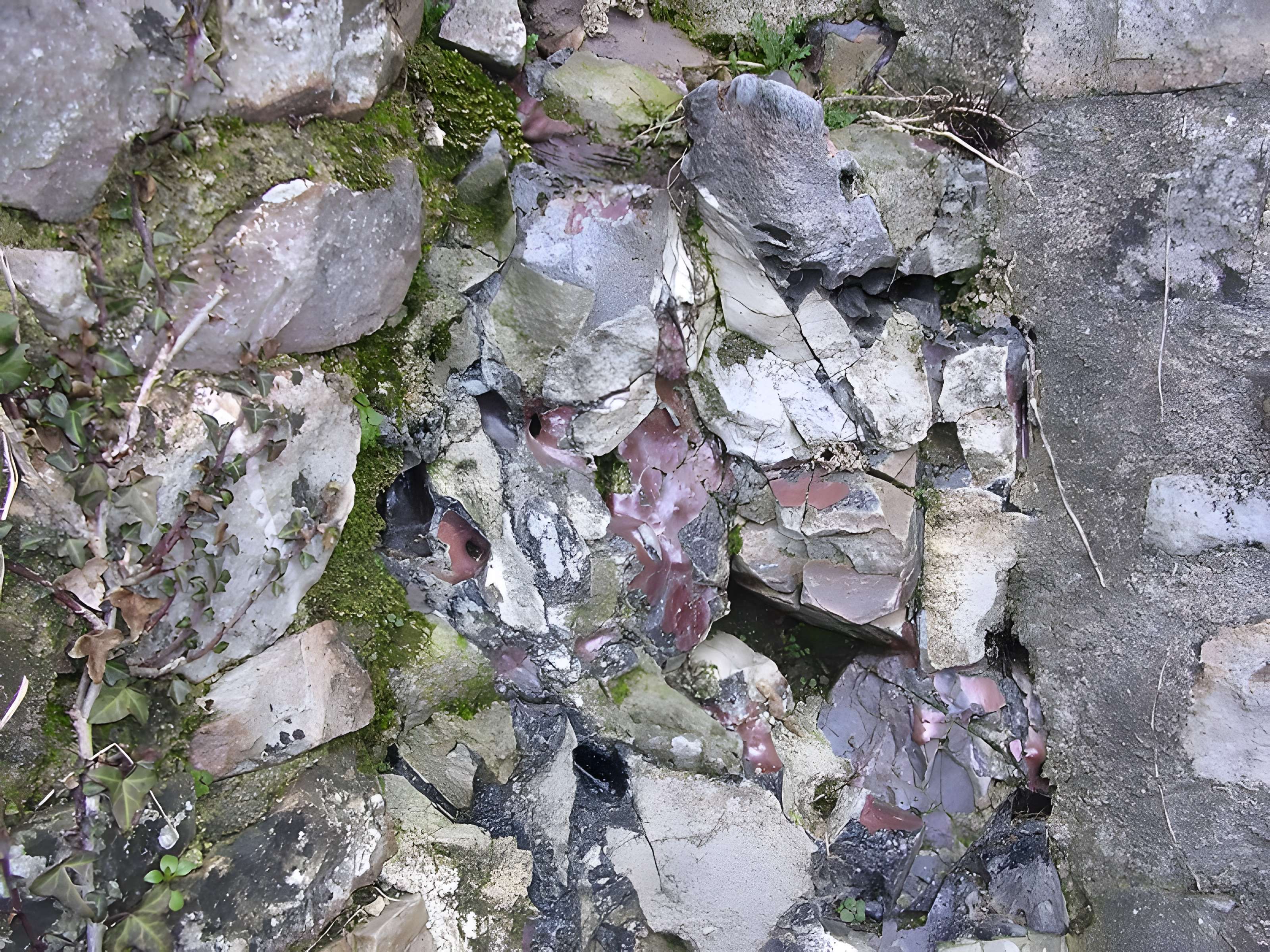 Remparts de Sainte-Suzanne