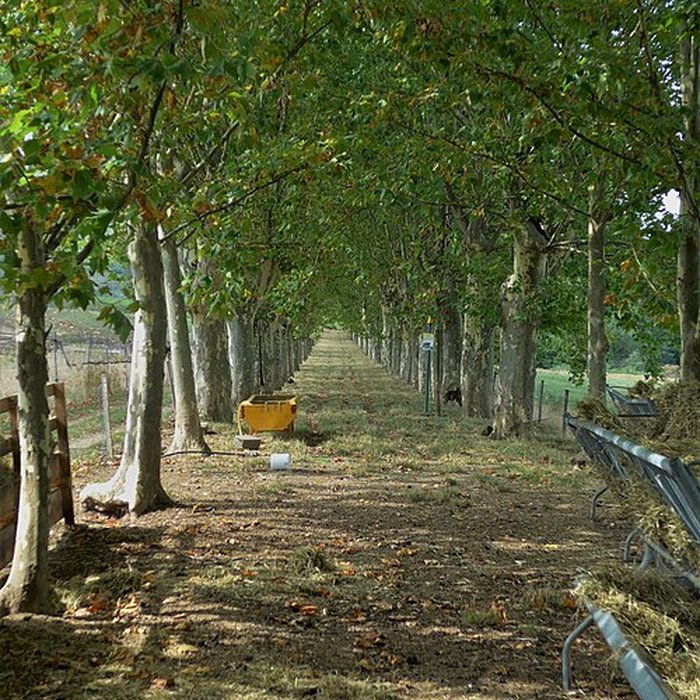 Photo de Château du Pradel