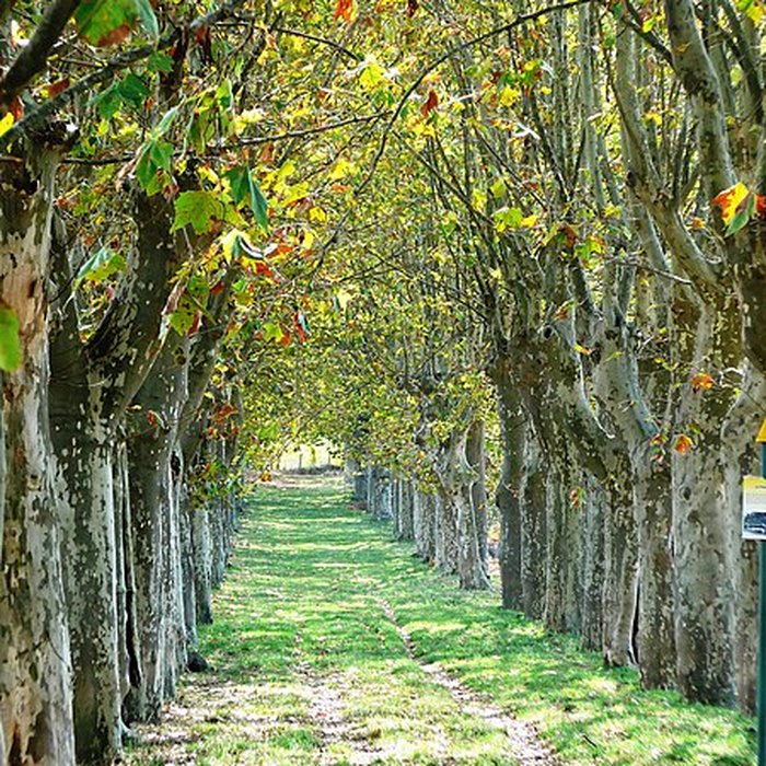 Photo de Château du Pradel