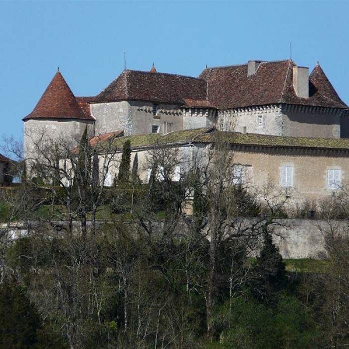 Photo de Château du Puy-Saint-Astier