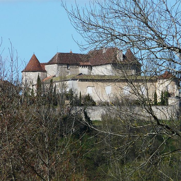 Photo de Château du Puy-Saint-Astier