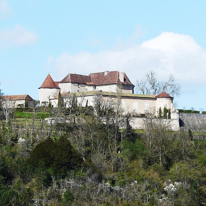 Photo de Château du Puy-Saint-Astier