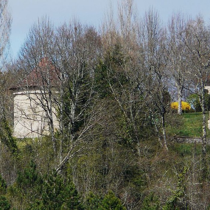 Photo de Château du Puy-Saint-Astier