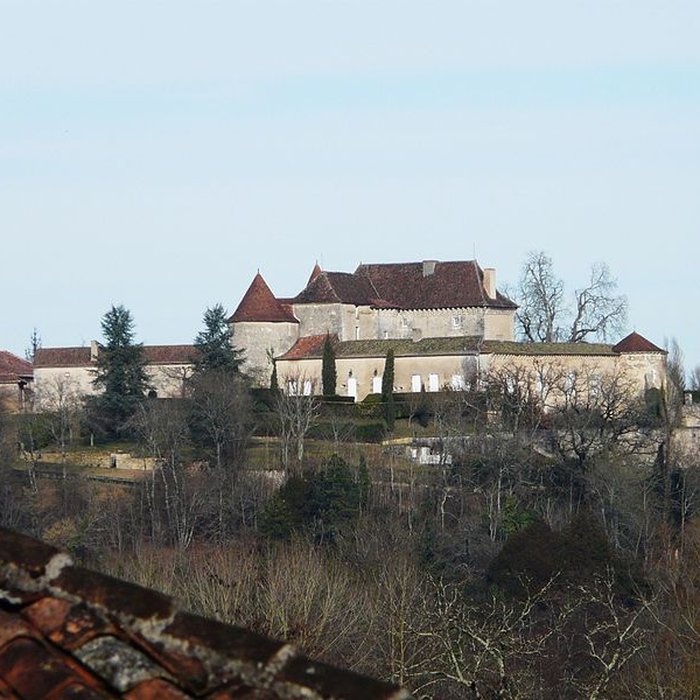 Photo de Château du Puy-Saint-Astier