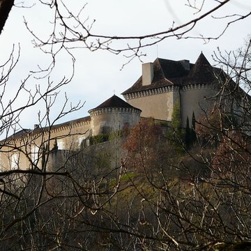 Château du Puy-Saint-Astier