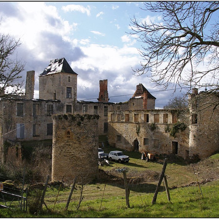 Photo de Château du Repaire à Saint-Aubin-de-Nabirat