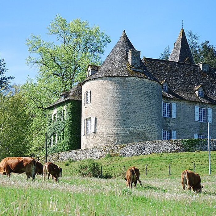 Photo de Château du Rieux