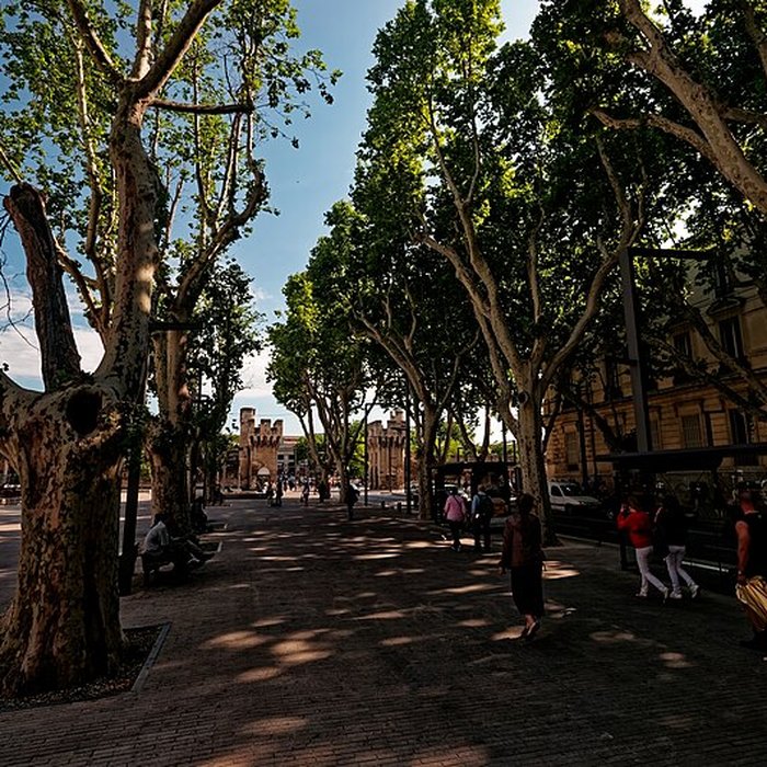 Photo de Remparts dAvignon