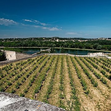 Remparts dAvignon