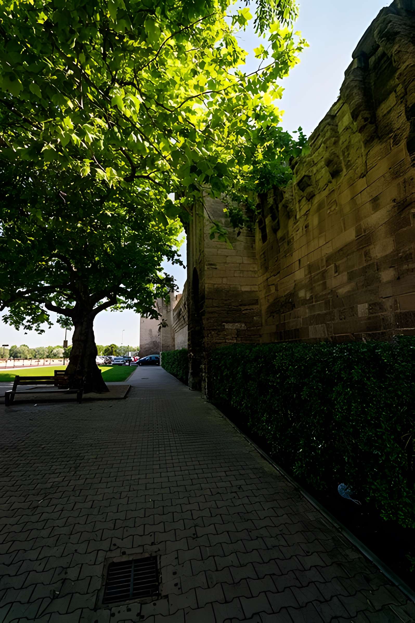 Remparts d'Avignon