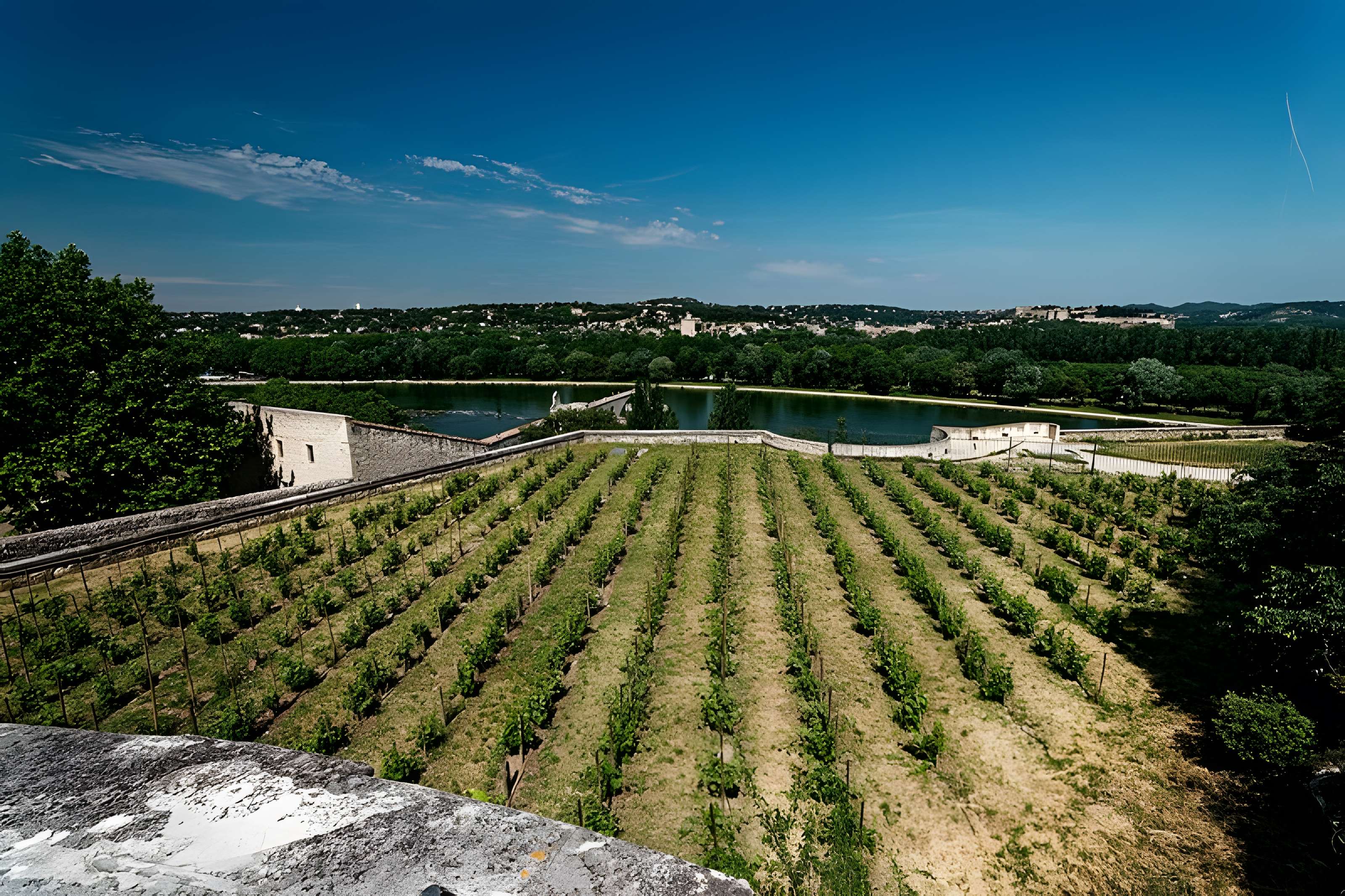 Remparts d'Avignon