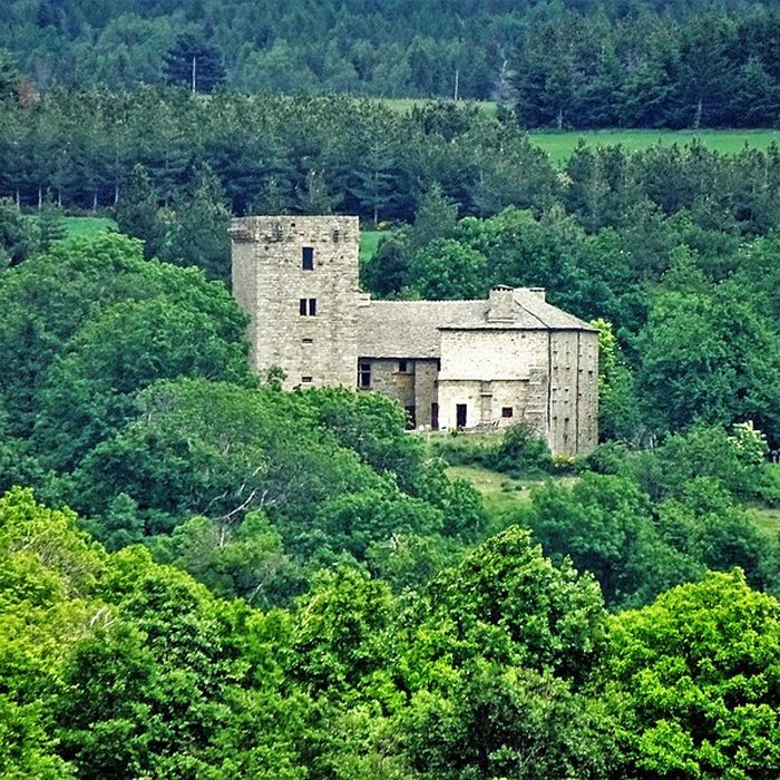 Photo de Château du Roure