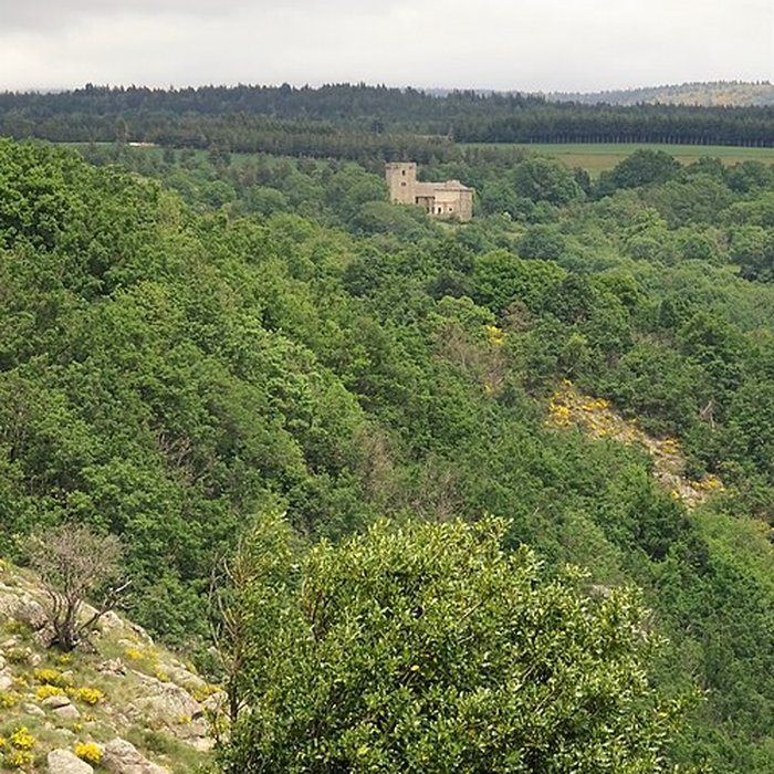 Photo de Château du Roure