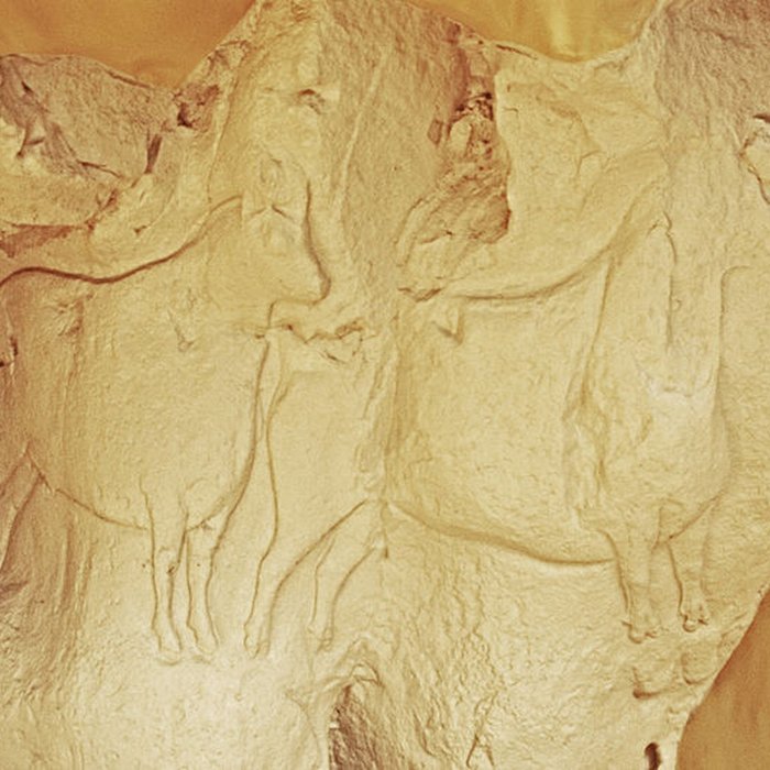 Photo de Roc-aux-Sorciers dAngles-sur-lAnglin