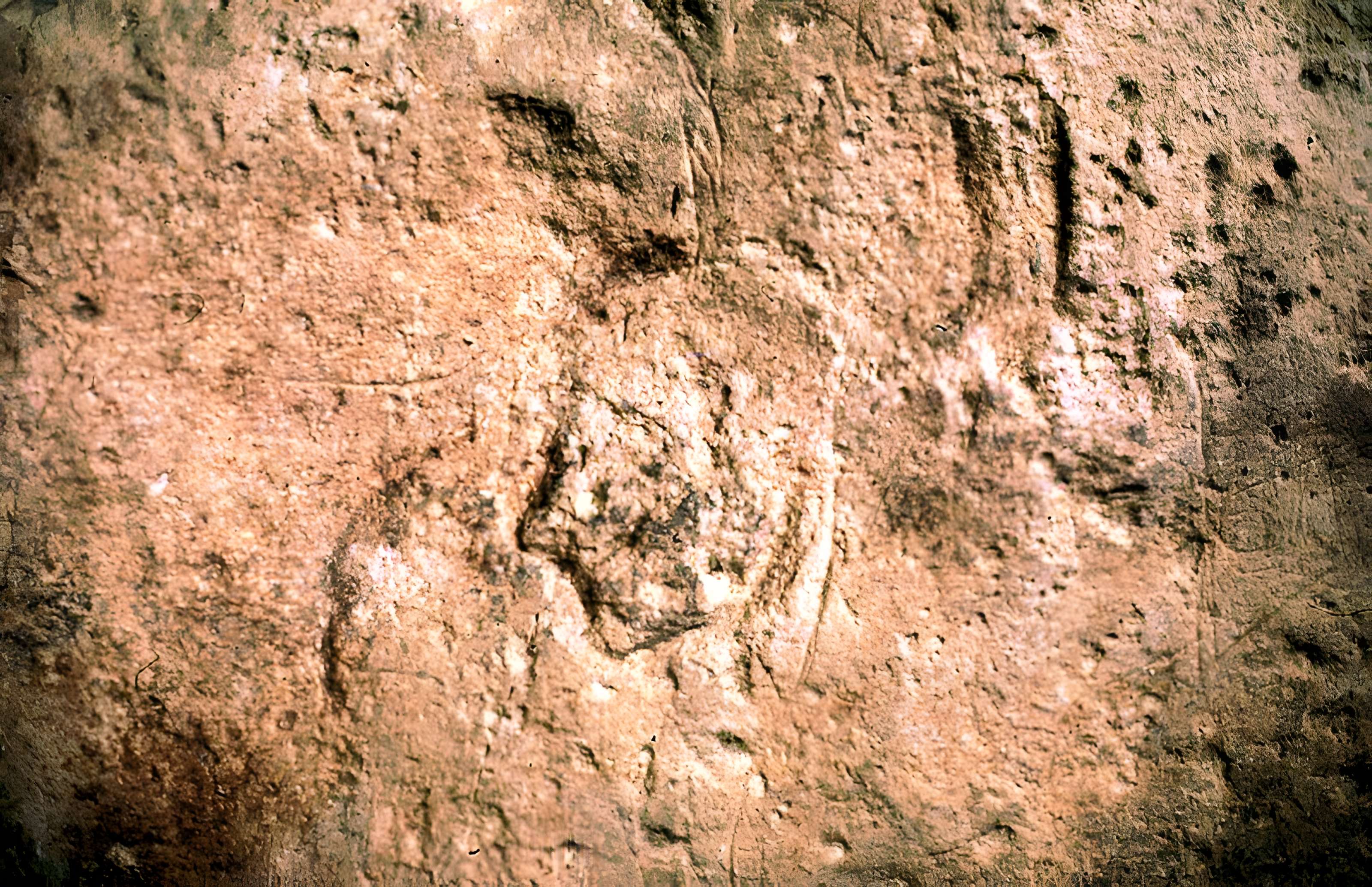 Roc-aux-Sorciers d'Angles-sur-l'Anglin