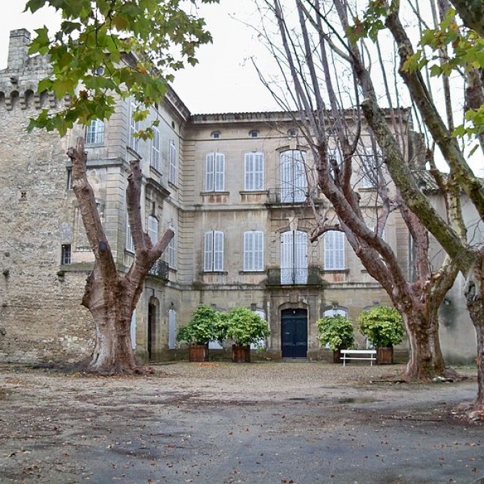 Photo de Château du Thor