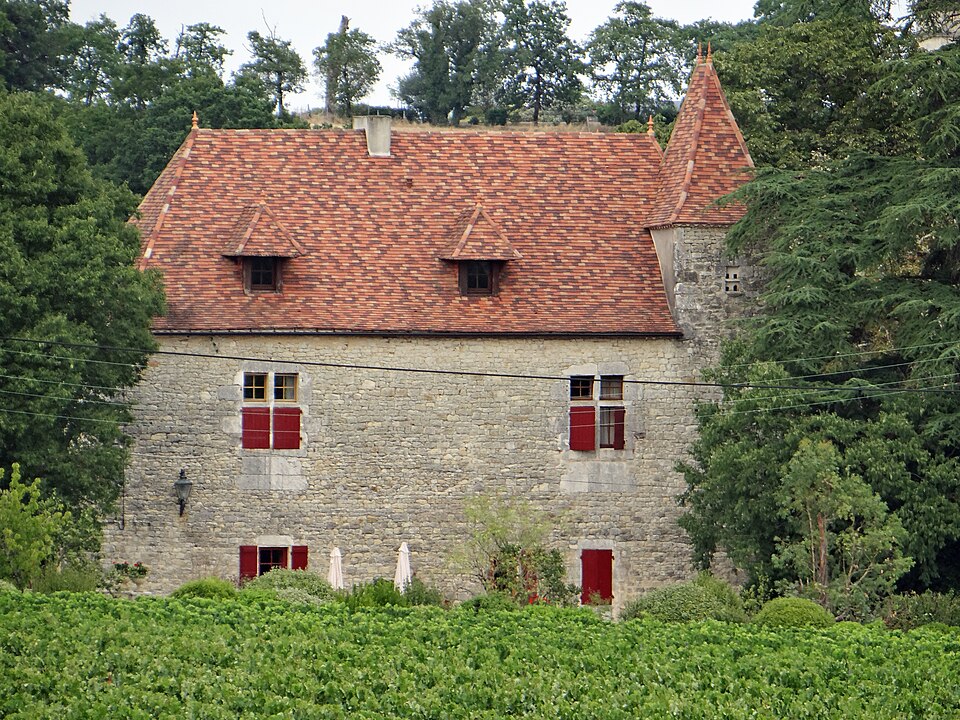 Photo de Château du Trichot