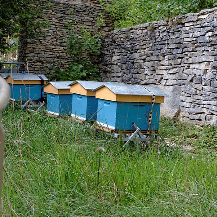 Photo de Rucher de la Combe à la Serpent à Corcelles-les-Monts