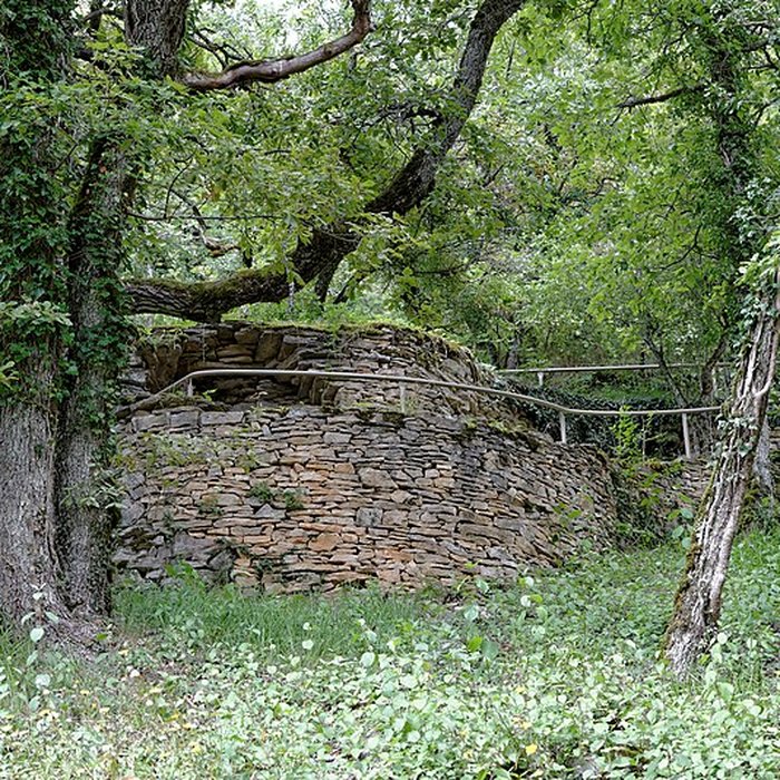 Photo de Rucher de la Combe à la Serpent à Corcelles-les-Monts