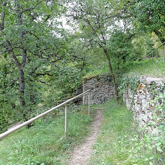 Photo de Rucher de la Combe à la Serpent à Corcelles-les-Monts