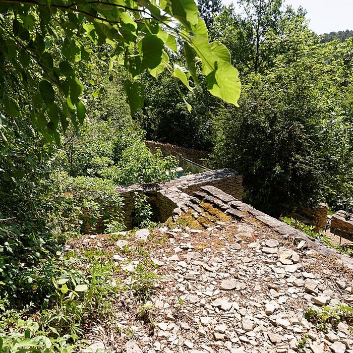 Photo de Rucher de la Combe à la Serpent à Corcelles-les-Monts