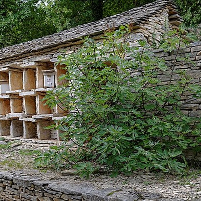 Photo de Rucher de la Combe à la Serpent à Corcelles-les-Monts