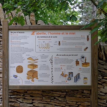 Rucher de la Combe à la Serpent à Corcelles-les-Monts