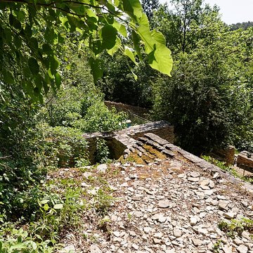 Rucher de la Combe à la Serpent à Corcelles-les-Monts