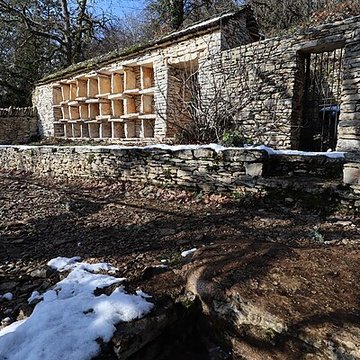 Rucher de la Combe à la Serpent à Corcelles-les-Monts