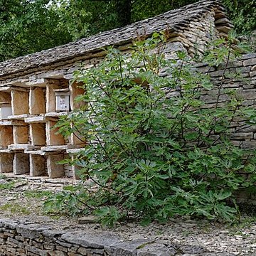 Rucher de la Combe à la Serpent à Corcelles-les-Monts