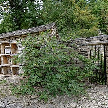 Rucher de la Combe à la Serpent à Corcelles-les-Monts
