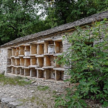 Rucher de la Combe à la Serpent à Corcelles-les-Monts