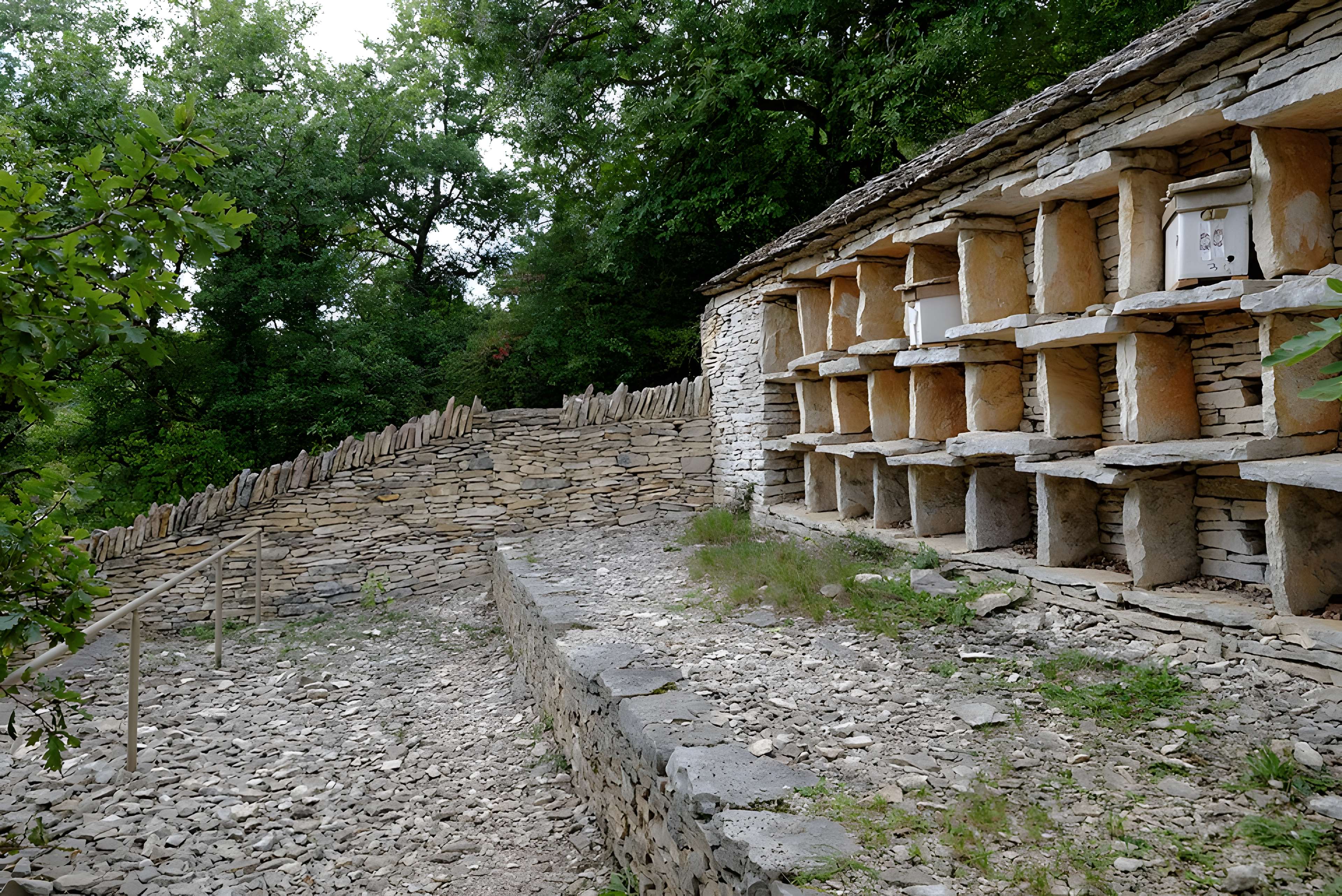 Rucher de la Combe à la Serpent à Corcelles-les-Monts