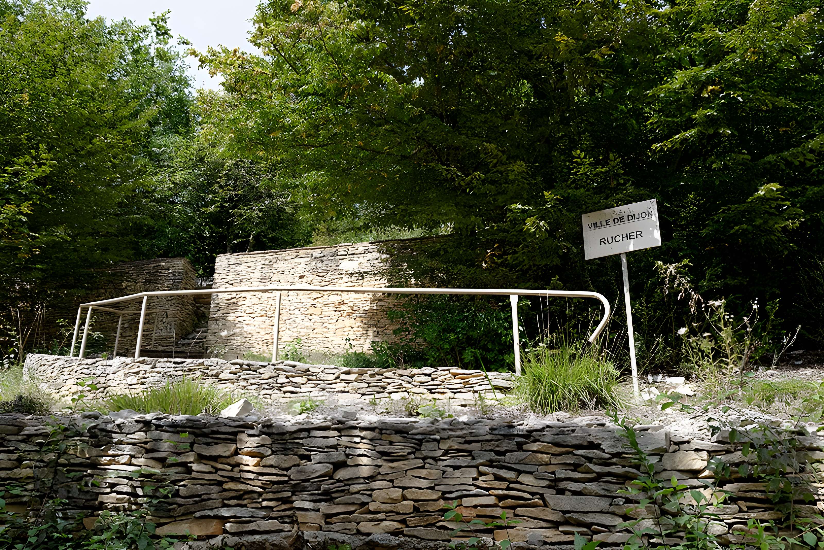 Rucher de la Combe à la Serpent à Corcelles-les-Monts