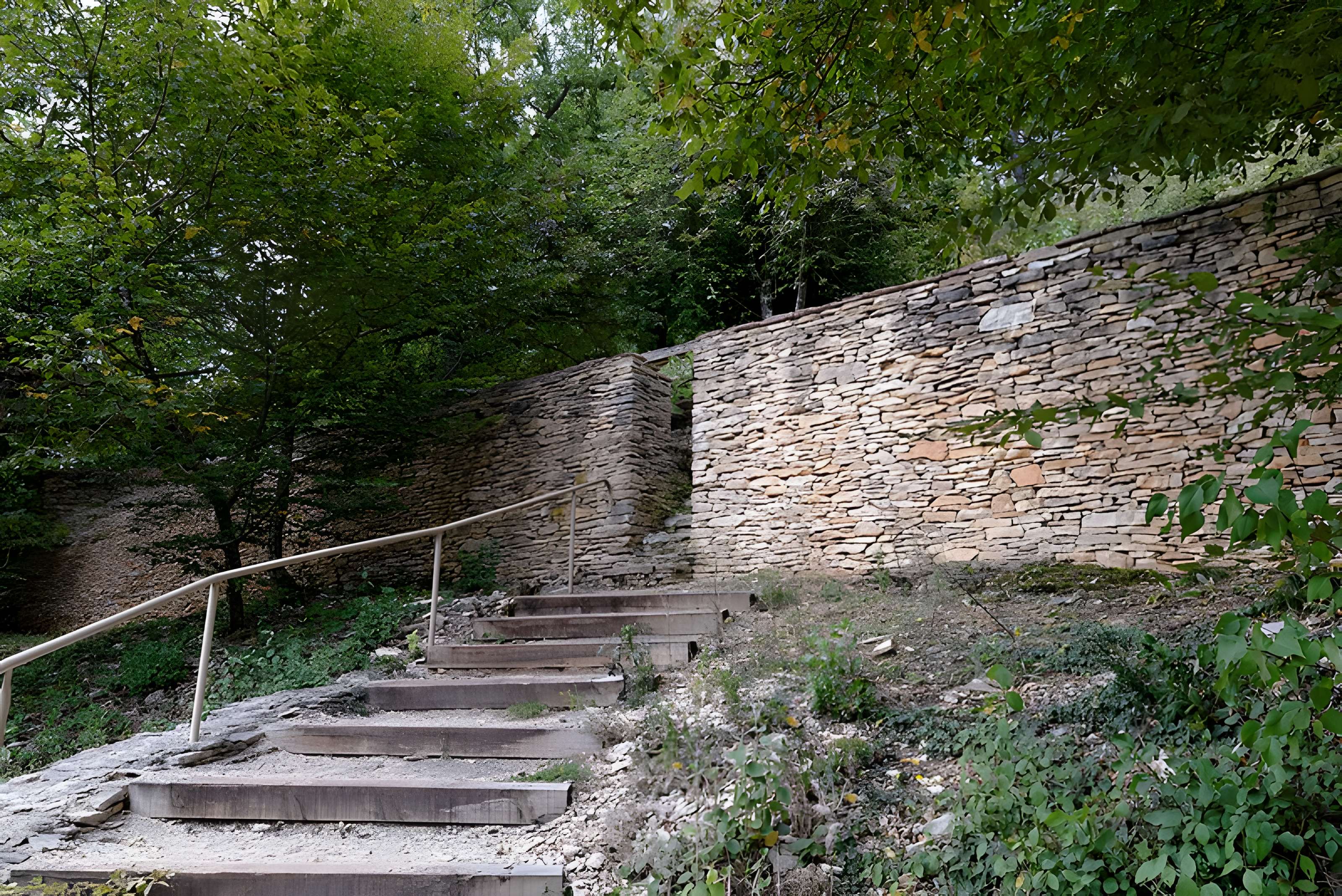 Rucher de la Combe à la Serpent à Corcelles-les-Monts