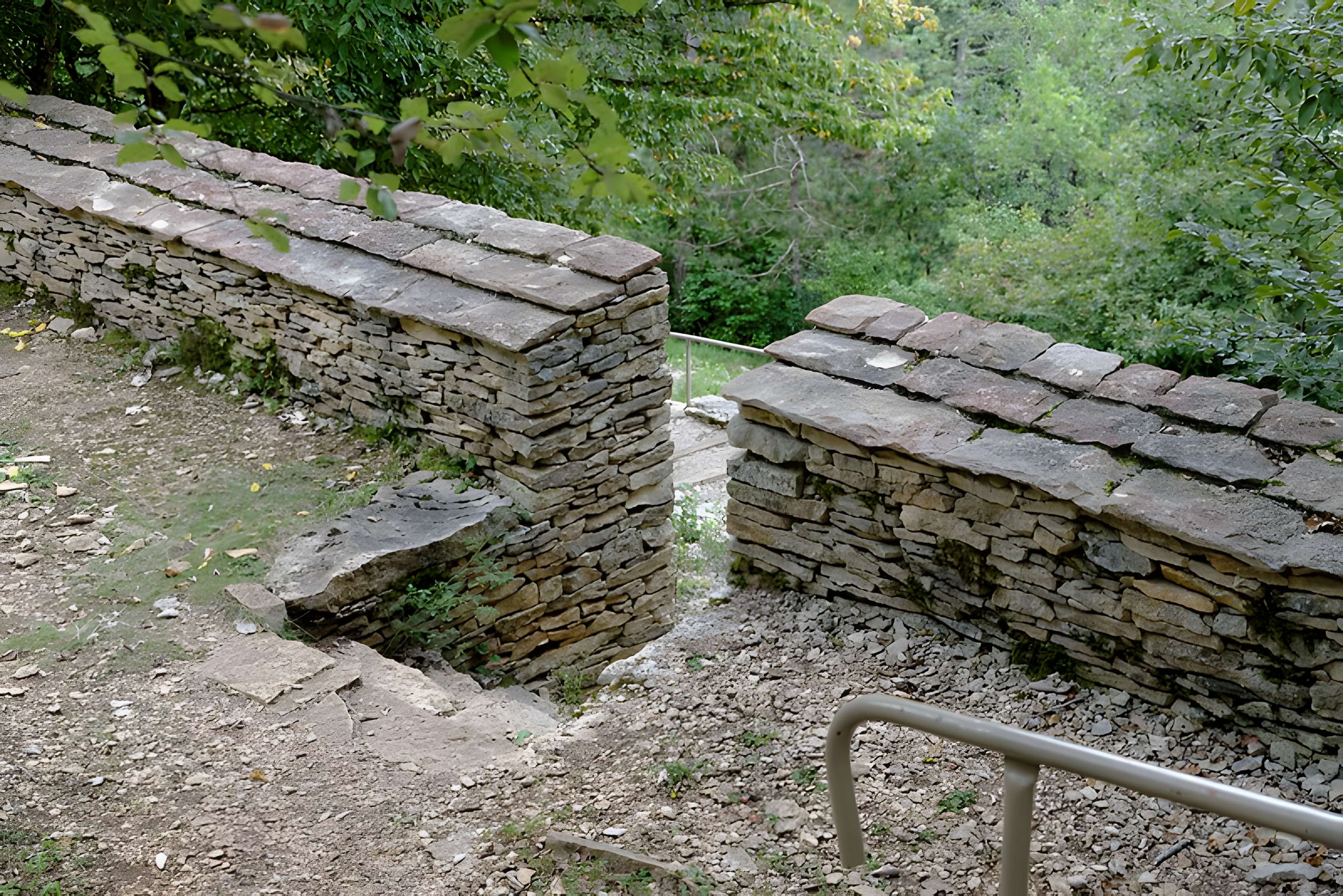 Rucher de la Combe à la Serpent à Corcelles-les-Monts