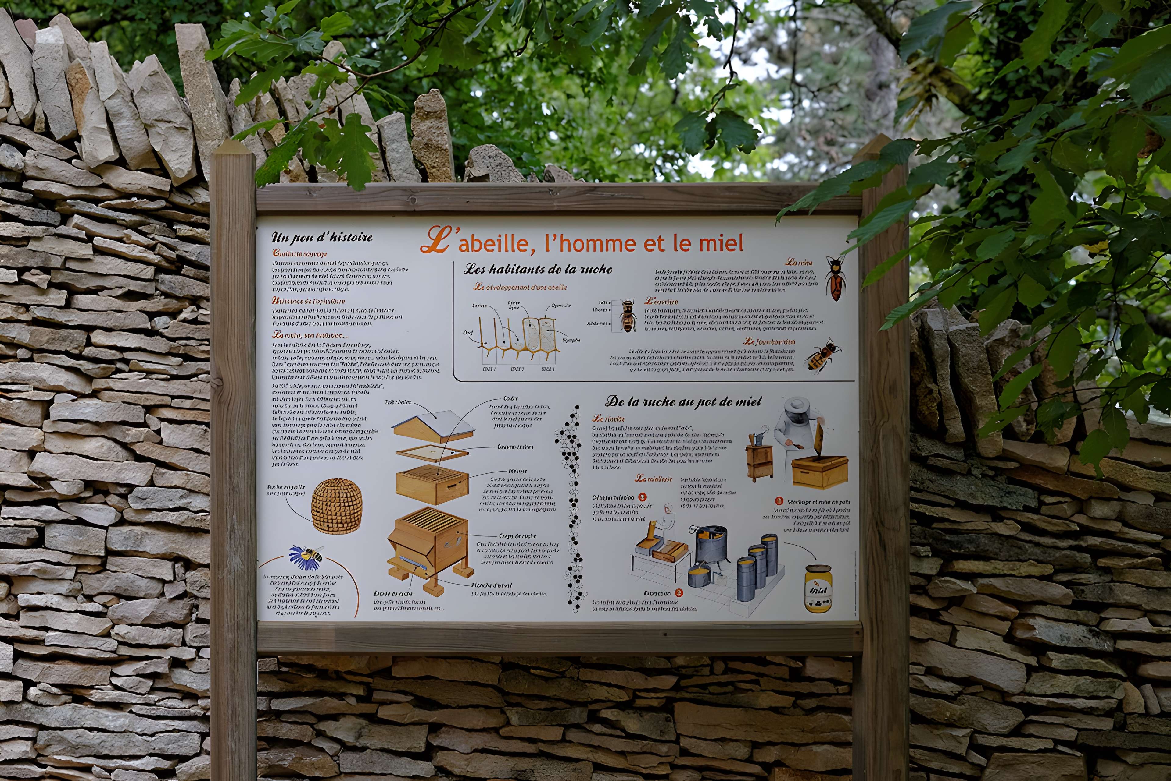 Rucher de la Combe à la Serpent à Corcelles-les-Monts