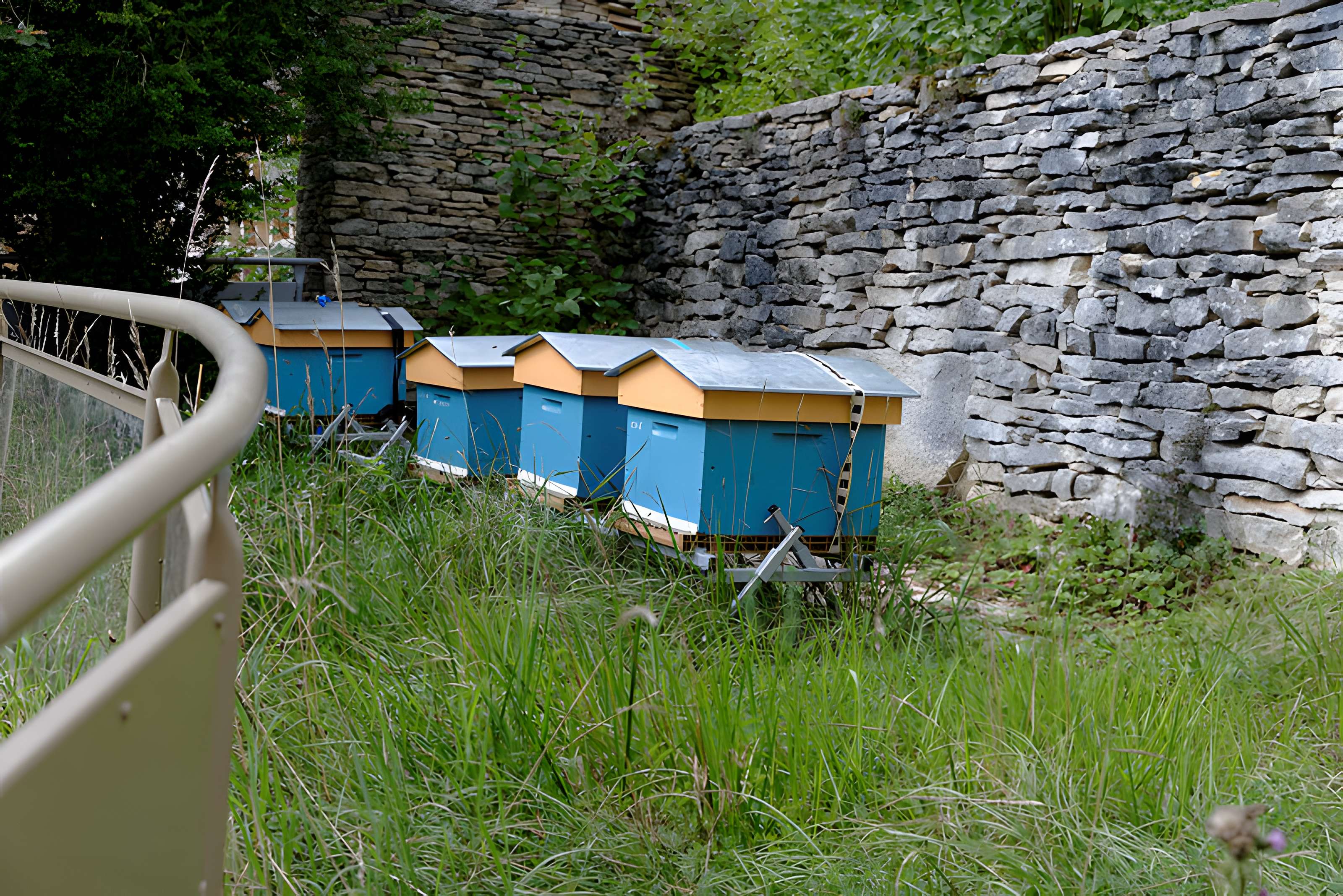 Rucher de la Combe à la Serpent à Corcelles-les-Monts