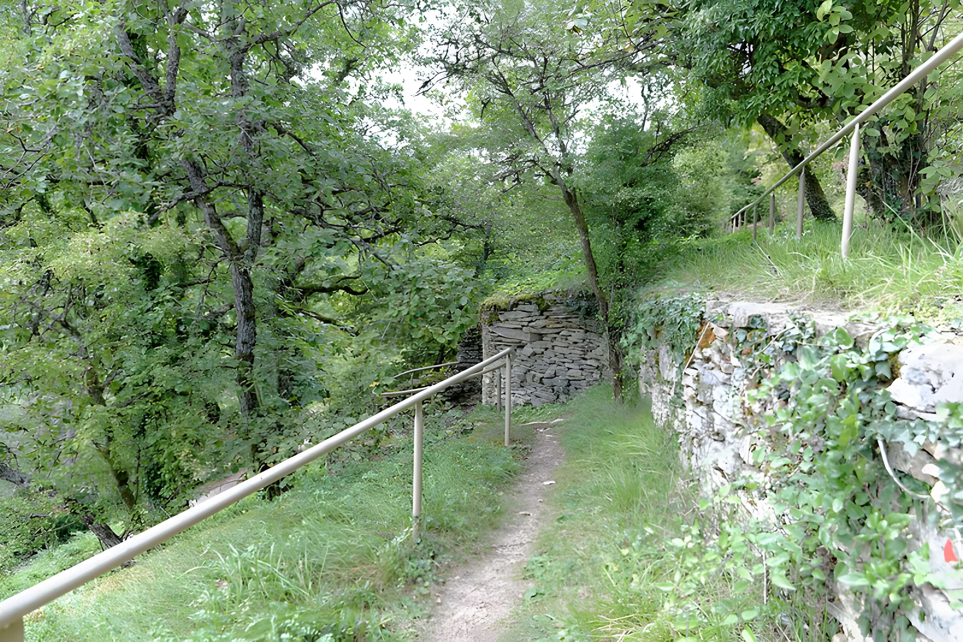 Rucher de la Combe à la Serpent à Corcelles-les-Monts