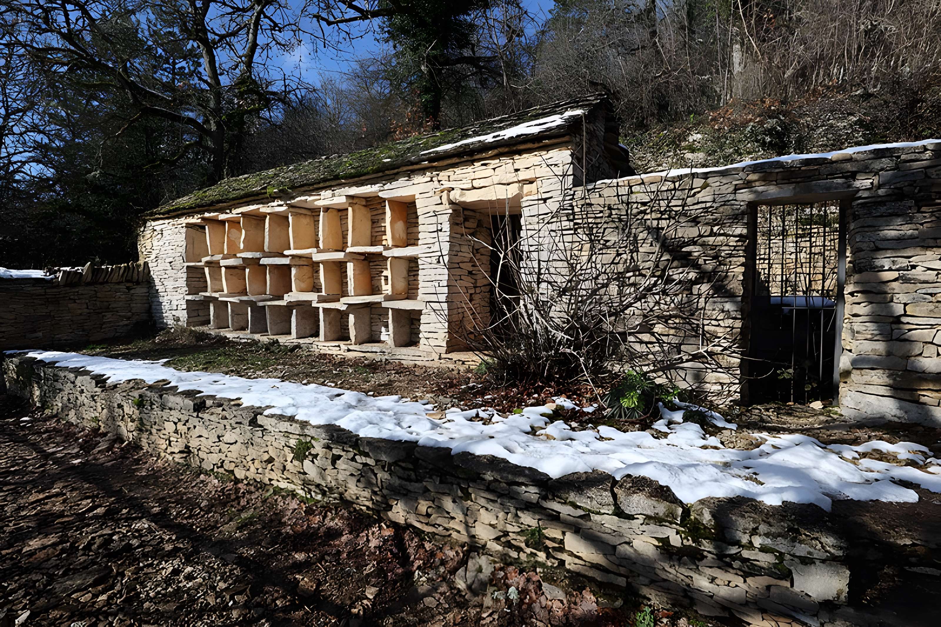 Rucher de la Combe à la Serpent à Corcelles-les-Monts