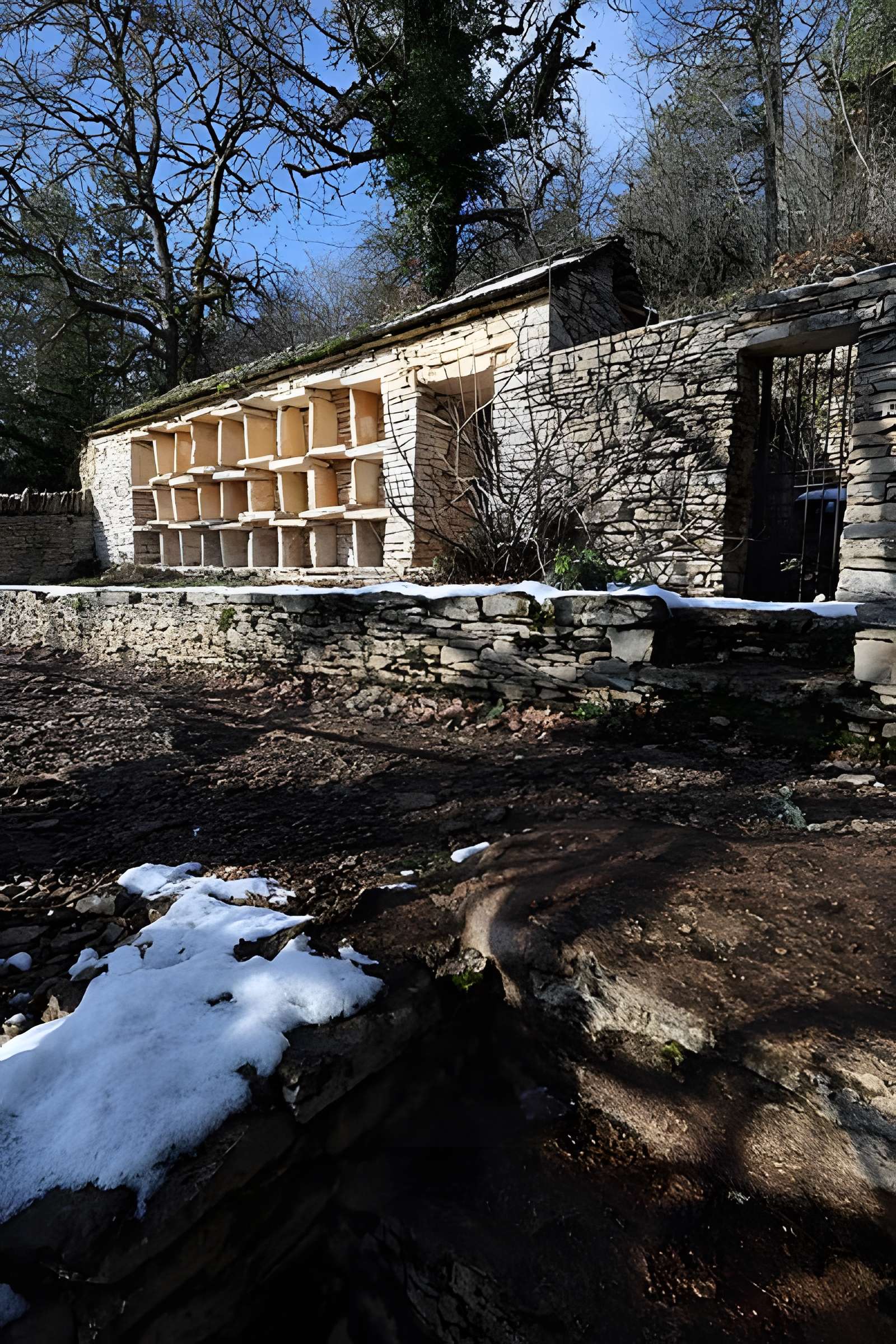 Rucher de la Combe à la Serpent à Corcelles-les-Monts