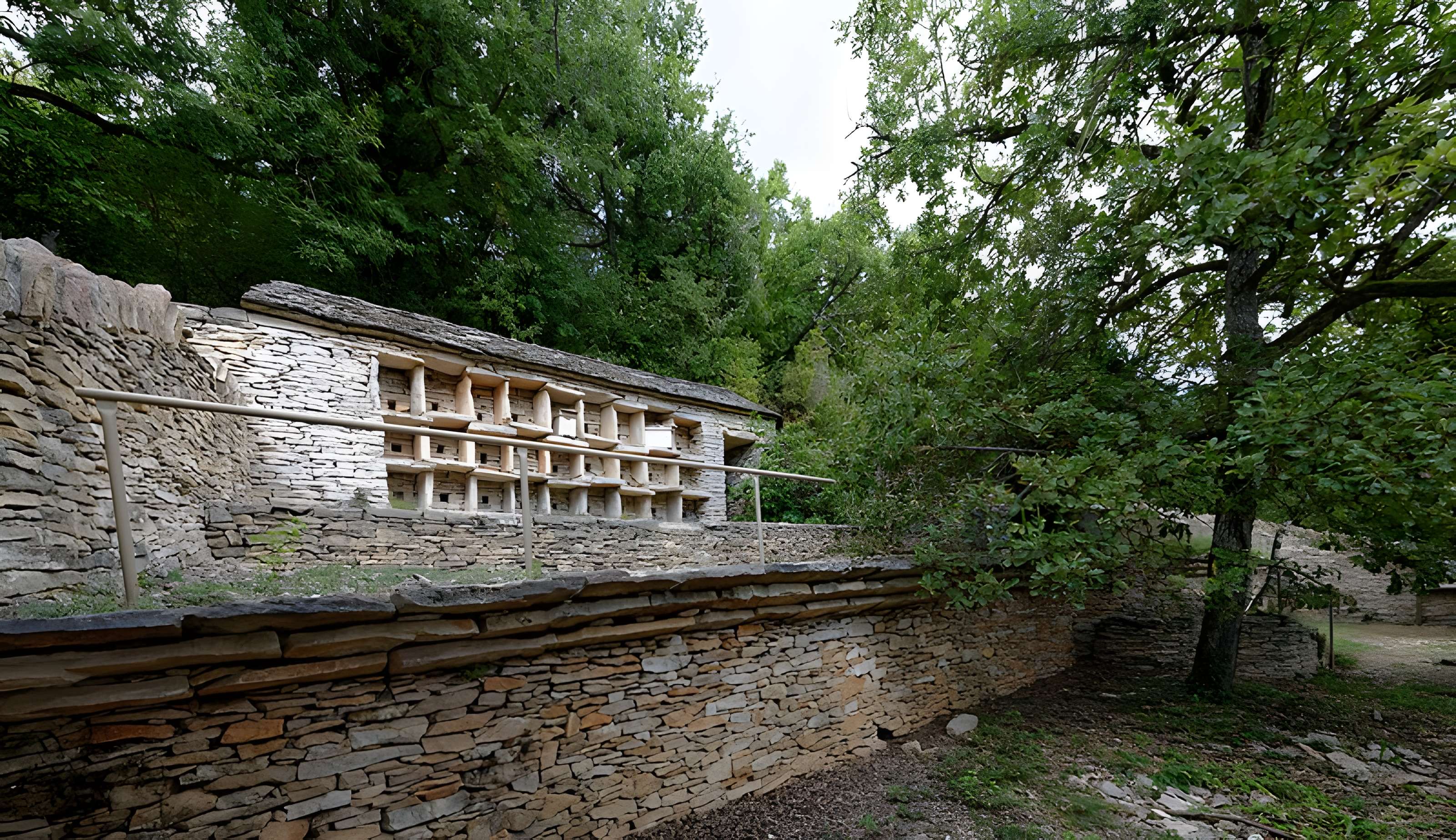 Rucher de la Combe à la Serpent à Corcelles-les-Monts