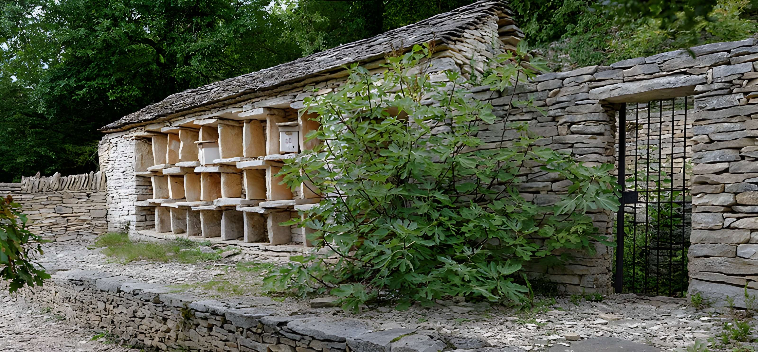 Rucher de la Combe à la Serpent à Corcelles-les-Monts